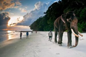 Read more about the article Cheapest way to travel to Andaman and Nicobar