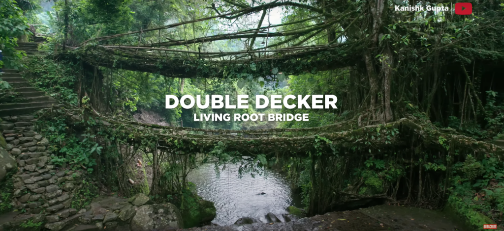 Double Decker Living Root Bridge